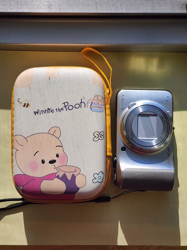 20251220_113647 SONY DSC-HX10