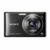 Sony W390 Sony Cyber-Shot DSC W390